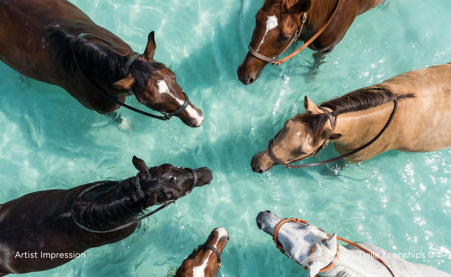 The Stables at Della Racecourse Raipur, photo 3 | Della Racecourse, Raipur